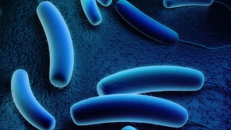 Νέα Υόρκη: Στους 12 οι νεκροί από τη νόσο των λεγεωναρίων