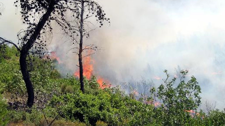 Ηράκλειο: Κατασβήστηκε φωτιά στην Αγία Πελαγία