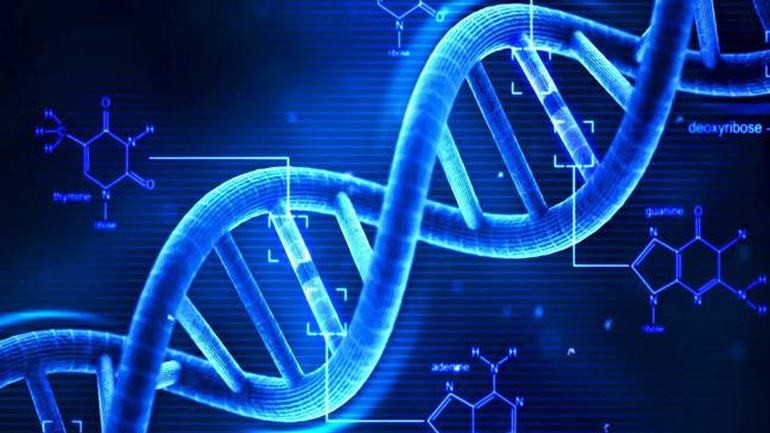 Έρευνα: Η διπλή έλικα του DNA δεν είναι όπως την ξέρουμε Έρευνα: Η διπλή έλικα του DNA δεν είναι όπως την ξέρουμε