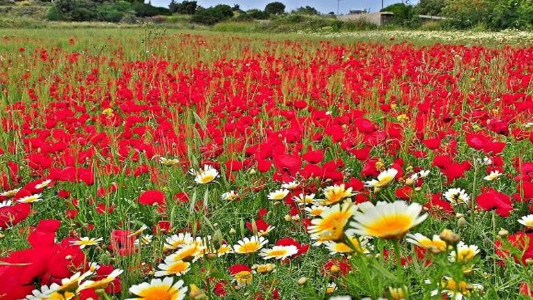 Υποχρεωτική αργία η Πρωτομαγιά