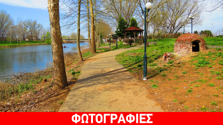 Πέλλα: Καλλιεργούσε κάνναβη δίπλα σε ποτάμι