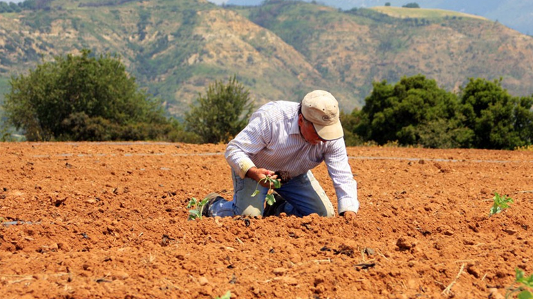 Πληρωμές 45,6 εκατ. ευρώ σε αγρότες από τον ΟΠΕΚΕΠΕ