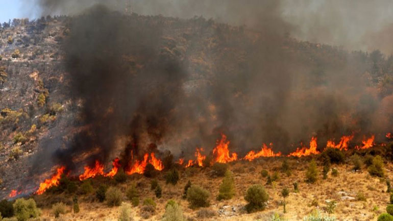 Συνελήφθη Βρετανός για εμπρησμό στις Αφίδνες Αττικής