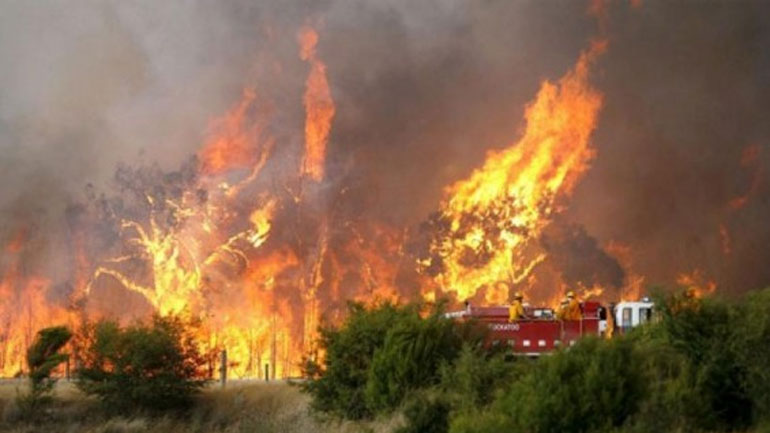 ΚΕΔΕ: Επιχειρησιακά σχέδια ανά δήμο για την αντιπυρική περίοδο