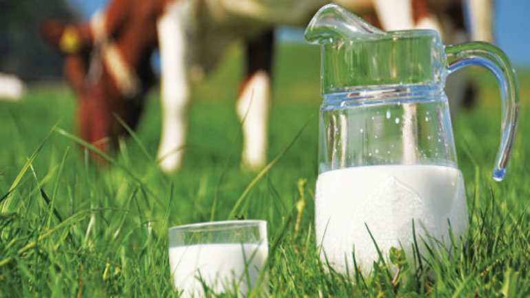 Αντιδρούν οι κτηνοτρόφοι στη ρύθμιση για τη διάρκεια ζωής του φρέσκου γάλακτος