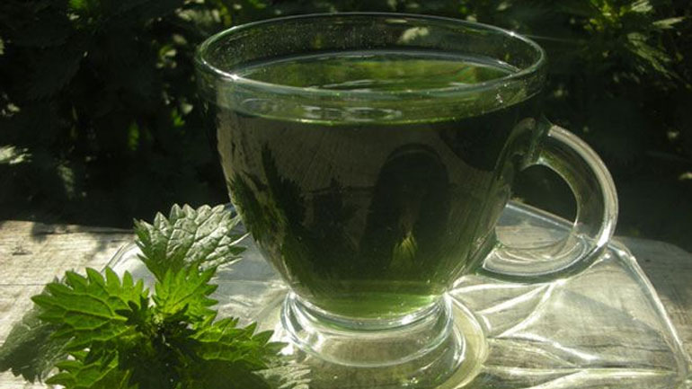 Ρόφημα τσουκνίδας για την καταπολέμηση της κυτταρίτιδας!