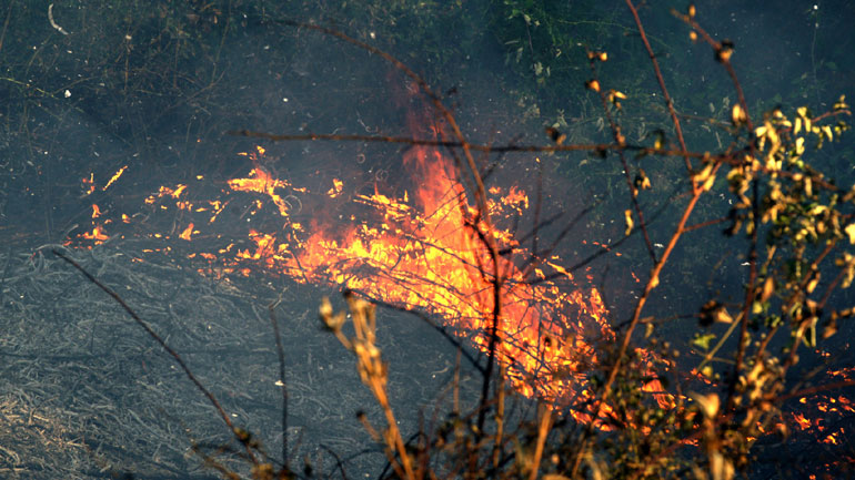 Υπό έλεγχο πυρκαγιά στην Περαία