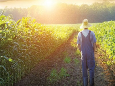 Αποζημιώσεις 60,5 εκατ. ευρώ σε γεωργούς και κτηνοτρόφους