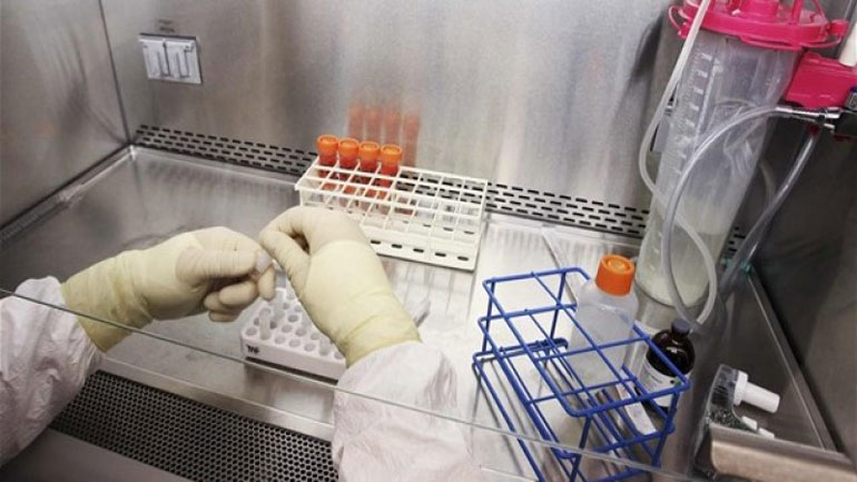 Πειραματικό φάρμακο θεράπευσε μαϊμούδες από τον ιό Έμπολα