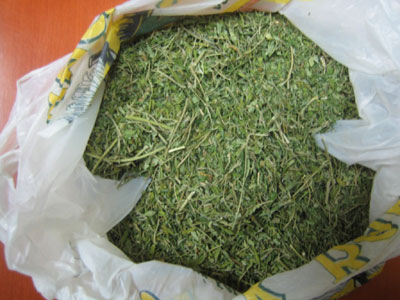 Μπλόκο σε μεγάλη ποσότητα χασίς στο Κιλκίς