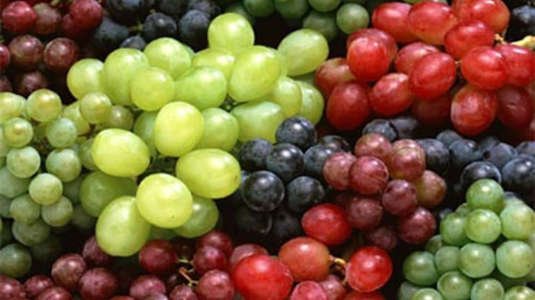 Άνοιγμα των εξαγωγών φρούτων στην Κίνα προωθεί το ΥΠΑΠΕΝ