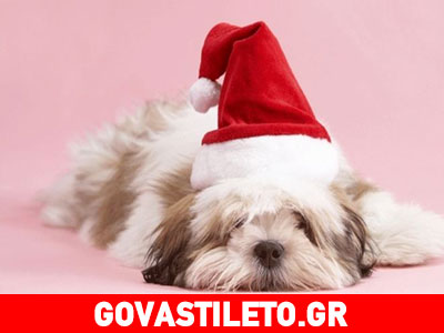 Η θλίψη των γιορτών – Βρίσκοντας το χαμένο πνεύμα των Χριστουγέννων…