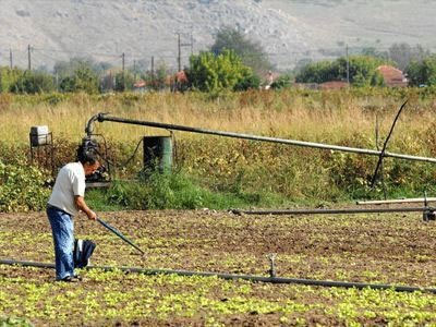 Αποζημιώσεις 17,5 εκατ. ευρώ καταβάλλει ο ΕΛΓΑ