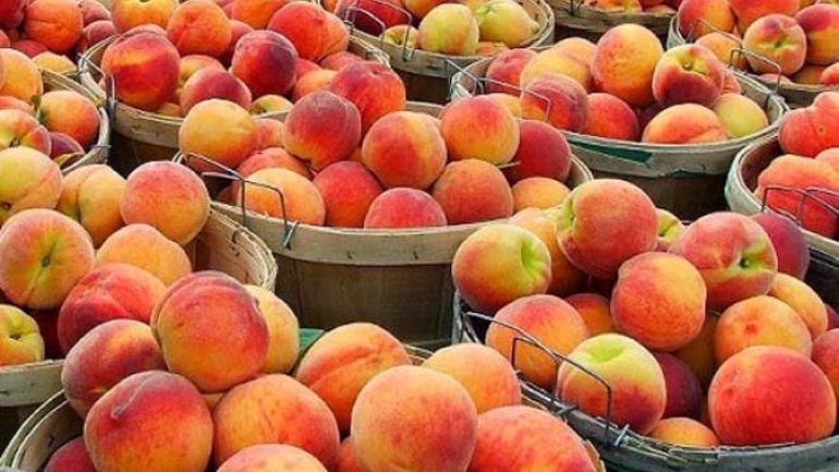 Δωρεάν διανομή ροδάκινων στον Δήμο Καλαμάτας