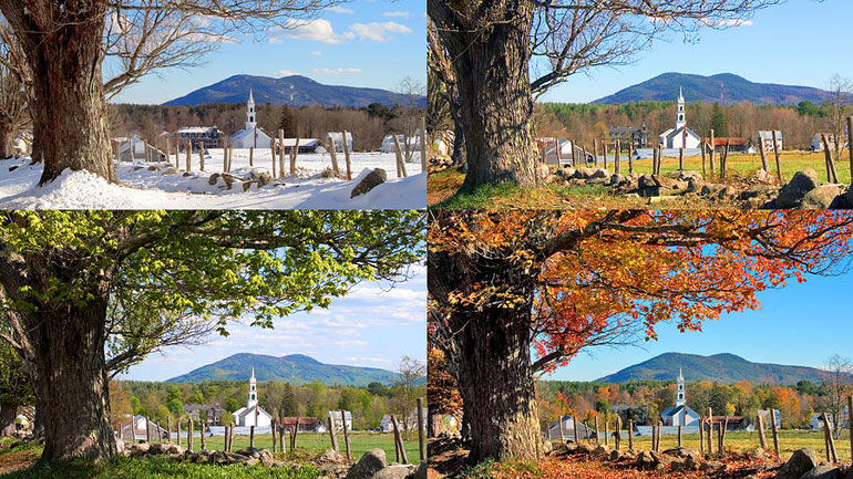 Οι εποχές του έτους επηρεάζουν τη λειτουργία των γονιδίων