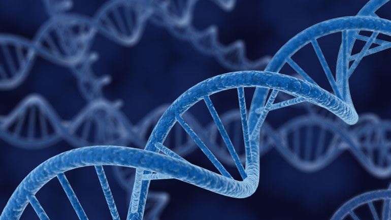 Νέα μέθοδος ταυτοποίησης ανθρώπου με βάση το μικροβιακό αποτύπωμα