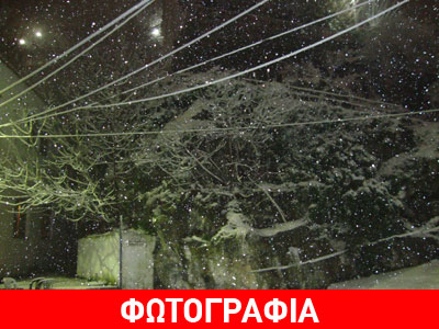 Στα λευκά τα ορεινά της Εύβοιας