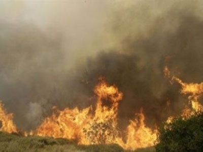 Σε εξέλιξη φωτιά στη Λαμία