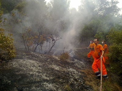 Σε εξέλιξη φωτιά στα Χανιά
