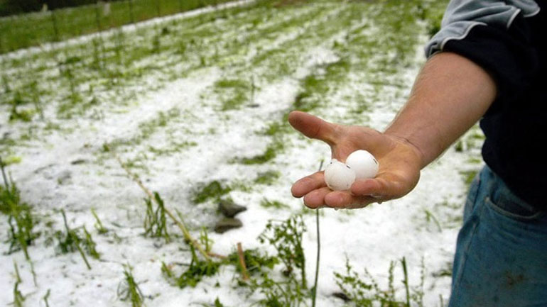 Λάρισα: Ζημιές σε καλλιέργειες λόγω χαλαζόπτωσης