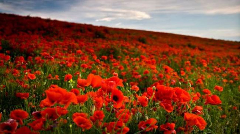 Πώς αμείβονται όσοι εργάζονται την Πρωτομαγιά