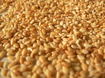 Μπλόκο σε σουσάμι από την Ινδία με σαλμονέλα