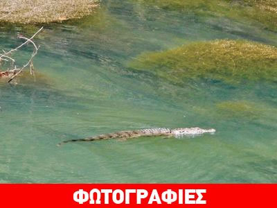 Ο Σήφης, τώρα και σε… πίτσα!