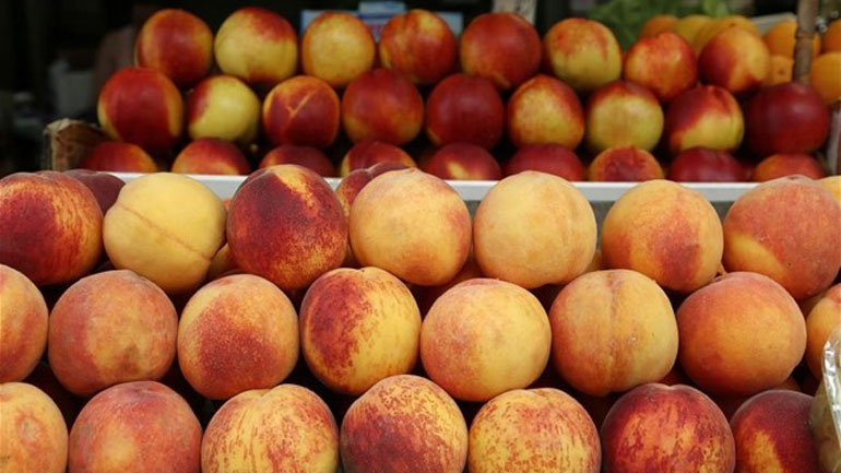 Διανομή οπωροκηπευτικών στον Δήμο Αλεξανδρούπολης