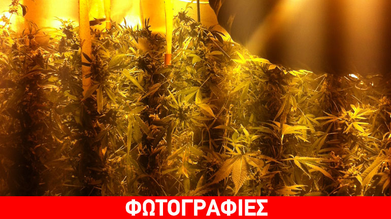 Είχε μεταστρέψει το σπίτι του σε εργαστήριο υδροπονικής καλλιέργειας κάνναβης
