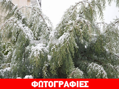 Χιόνια στη Φλώρινα