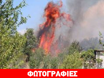 Σε εξέλιξη φωτιά στην Καλαμπάκα