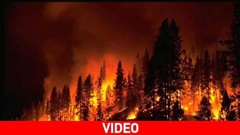 Μαίνεται η πυρκαγιά στη Χαλκιδική