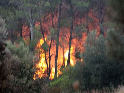 Πυρκαγιές σε Ρόδο και Μέθανα