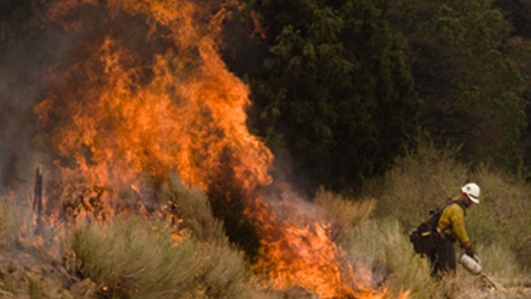 Ευρωπαϊκή βοήθεια για την κατάσβεση των πυρκαγιών ζητεί η Κροατία