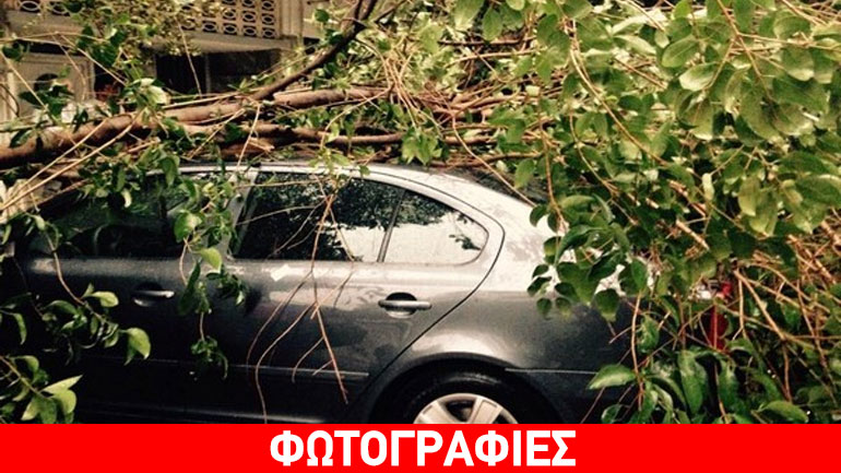 Μπουρίνι έπληξε τη Θεσσαλονίκη – Δένδρα καταπλάκωσαν Ι.Χ.