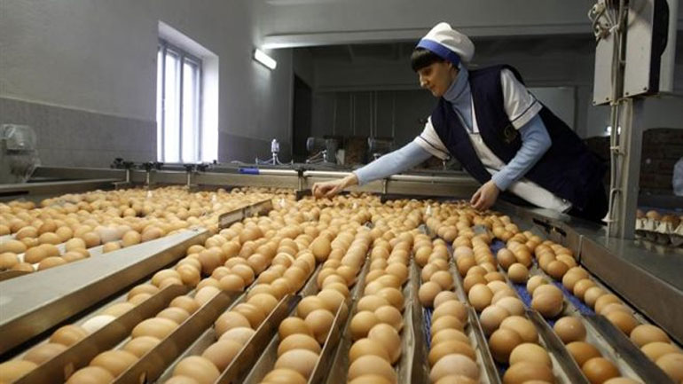 Κούβα: Δημόσιοι υπάλληλοι έκλεψαν 8 εκατ. αβγά!