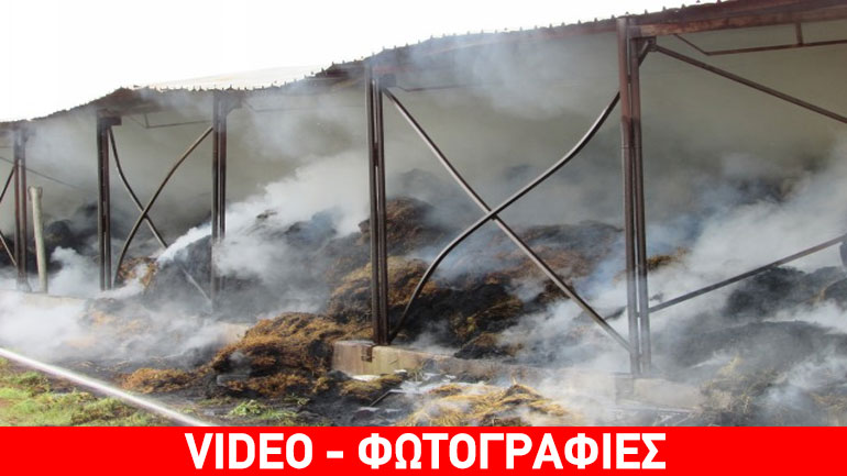 Φωτιά σε κτηνοτροφική μονάδα στο Δρέπανο Κοζάνης