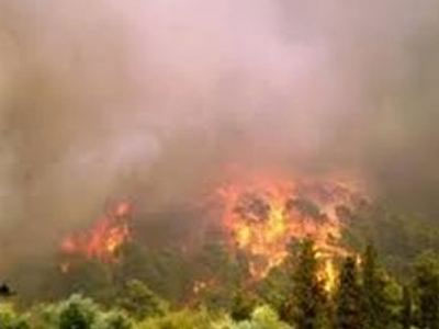 Σε εξέλιξη πυρκαγιά στους Δελφούς