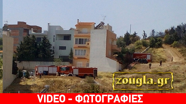 Υπό έλεγχο η φωτιά σε δασική έκταση στο Κερατσίνι