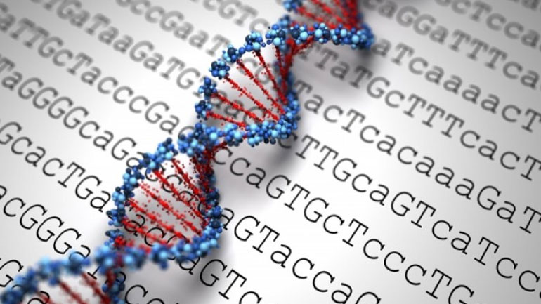 ΗΠΑ: Για πρώτη φορά τροποποιήθηκαν ανθρώπινα ανοσοποιητικά κύτταρα