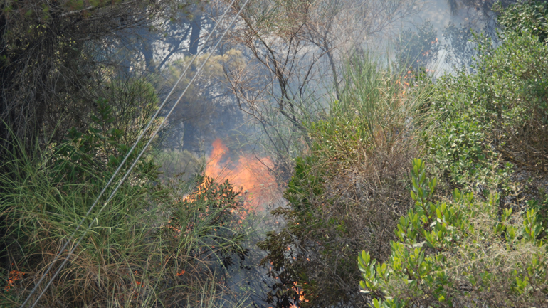 Υπό μερικό έλεγχο φωτιά στο Ελληνικό Γορτυνίας