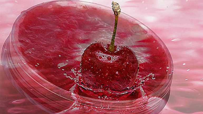 Μάσκα με κεράσι κατά των ρυτίδων