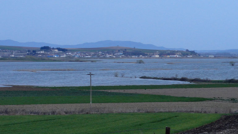 Σε απόγνωση οι αγρότες του Νομού Σερρών