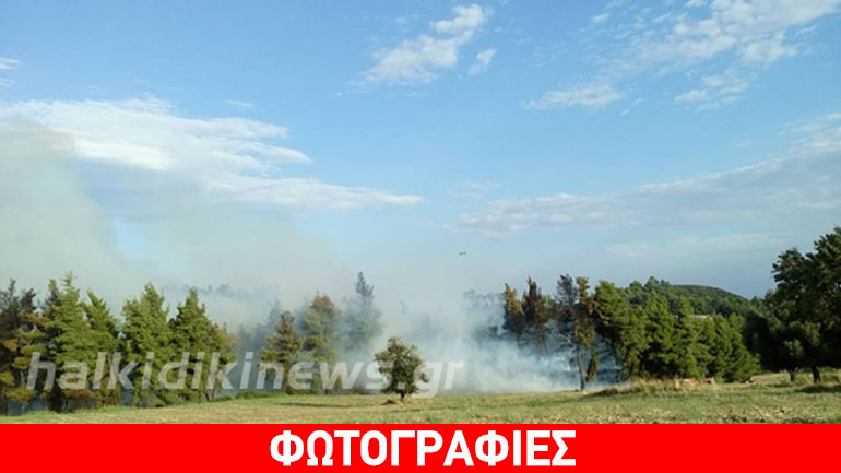 Μαίνεται η πυρκαγιά στην Αιτωλοακαρνανία – Υπό μερικό έλεγχο η φωτιά στη Χαλκιδική