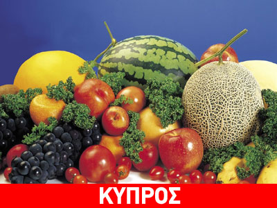 Ανησυχία στη Λευκωσία για το ρωσικό εμπάργκο