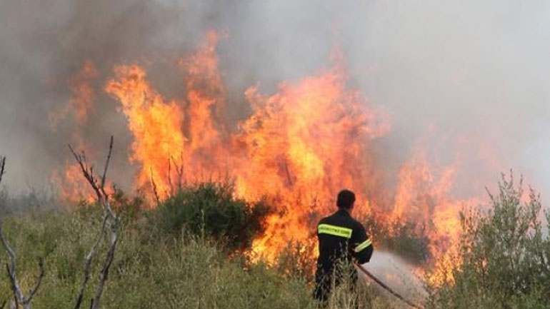 Σε εξέλιξη φωτιά σε δασική έκταση στα Καλάβρυτα