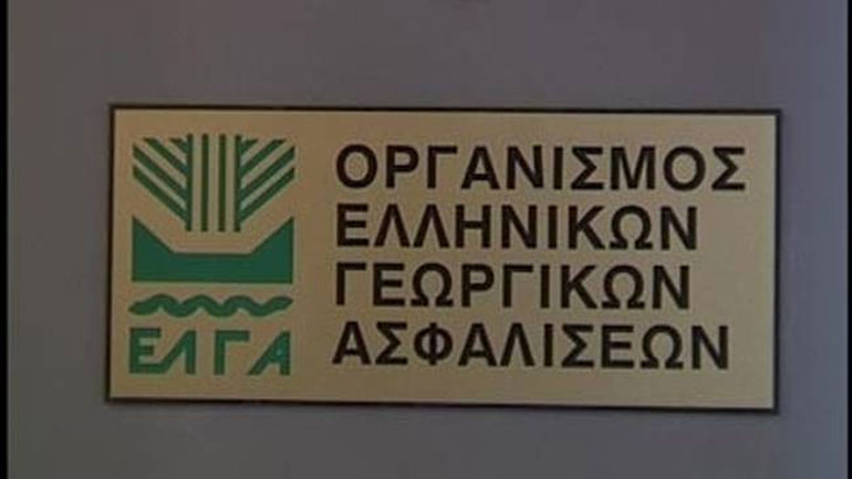 ΕΛΓΑ: Ξεκινούν οι αιτήσεις για τις οικονομικές ενισχύσεις