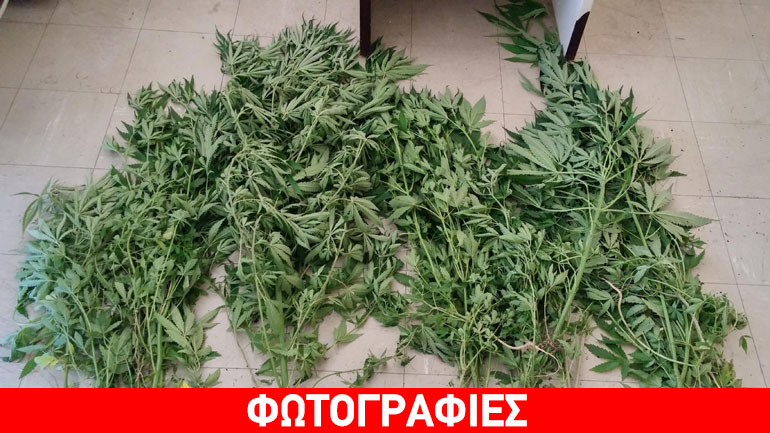 Οικογενειακή… επιχείρηση ναρκωτικών στην Πέλλα