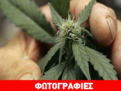 Συνελήφθησαν έμποροι ναρκωτικών στη Ρόδο