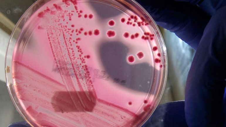 Ο έρπης μπορεί να σταματήσει τον καρκίνο του δέρματος